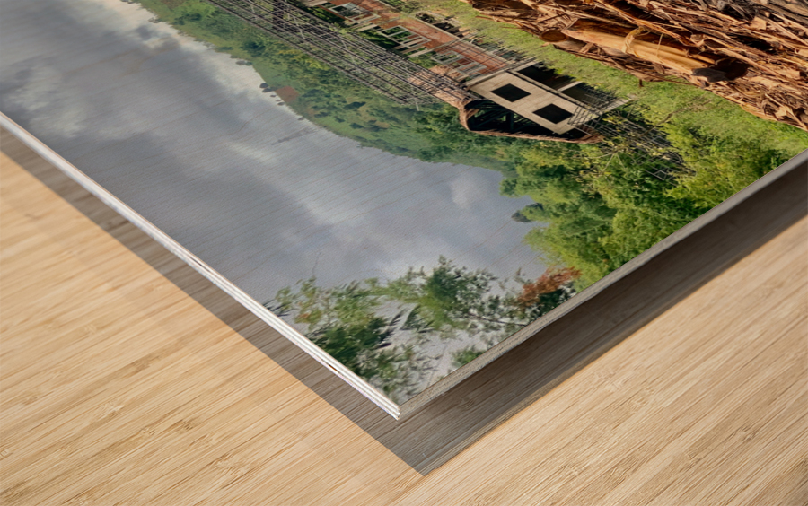 Fading Wood Wood print