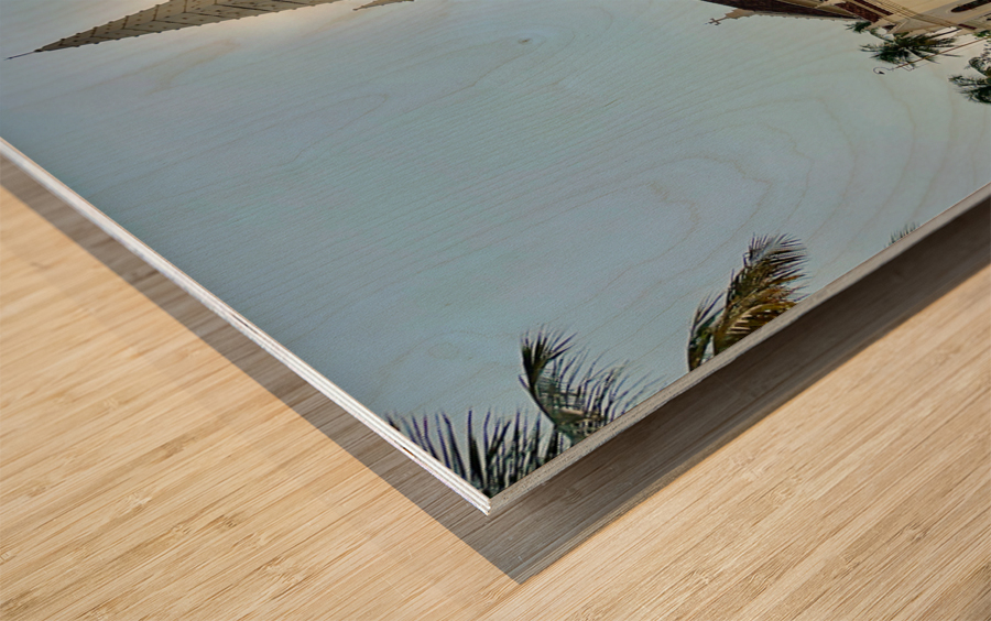 Santa Cruz Cathedral Basilica Fort Kochi 1 Wood print