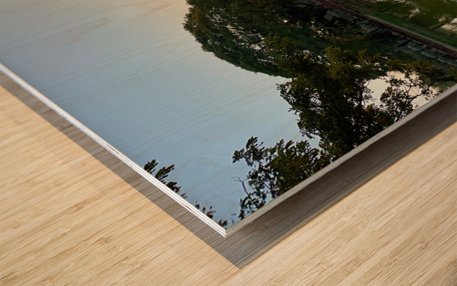 Nice Tree Reflection on the Lake Wood print