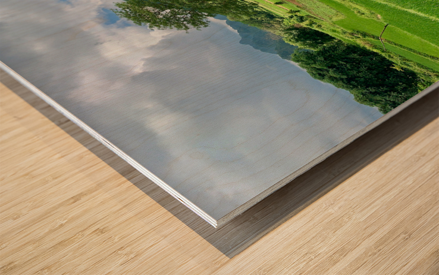 Beautiful Green Scenery Wood print