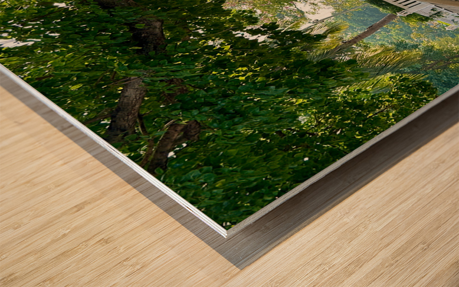 By the Canal in Bangkok Impression sur bois