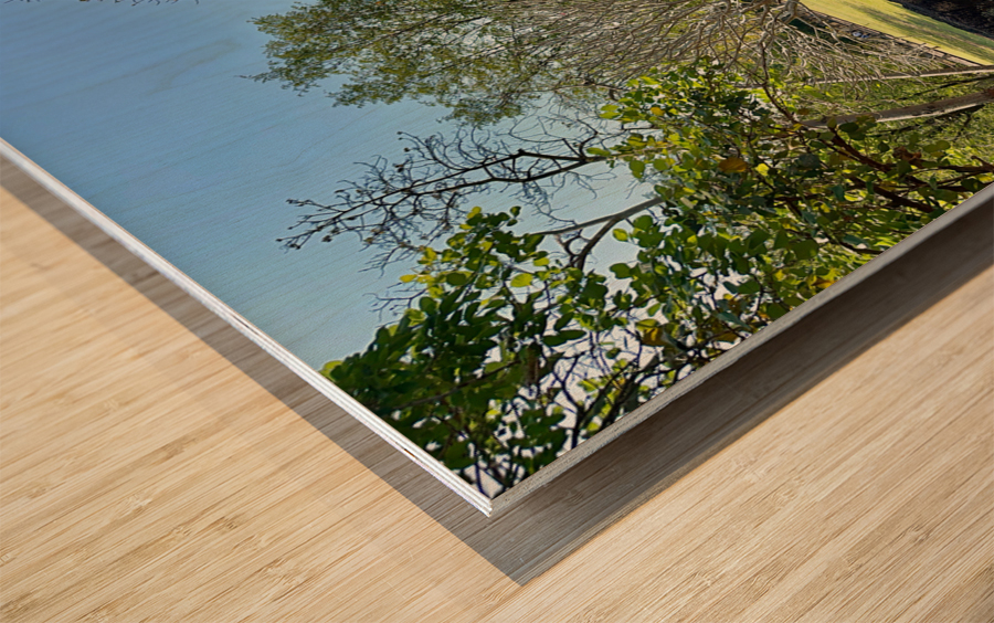 Half Wall Protection Impression sur bois