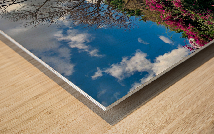 At the Park in Brisbane Wood print