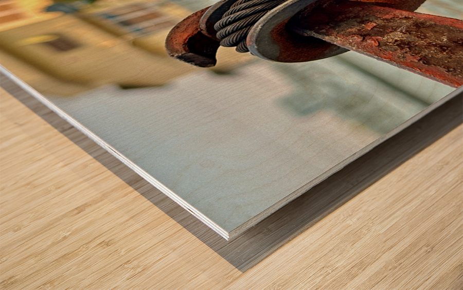 Hooked on this Photo Wood print