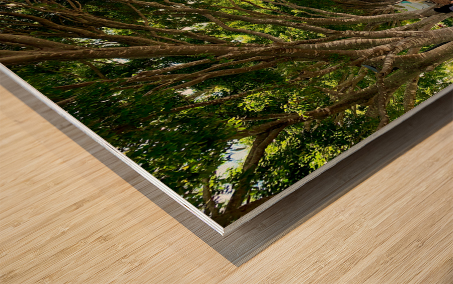 Walking Around Brisbane Wood print