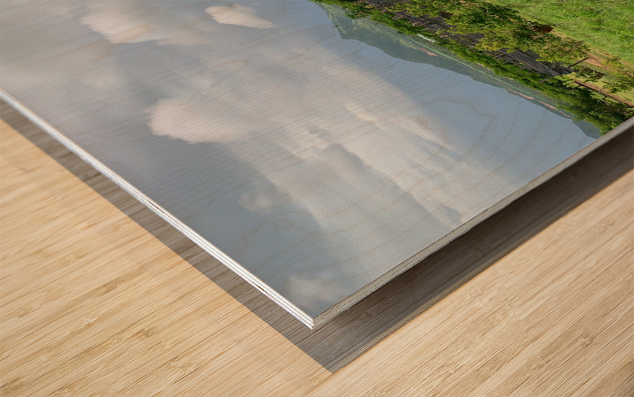 The Pepper Plantations Wood print