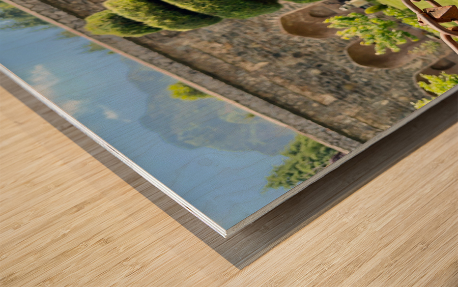 Spiral Tree Wood print