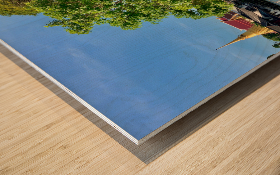 Tree Way Separation Wood print