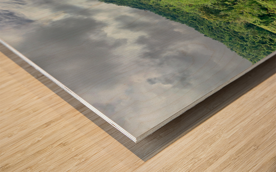 Block on Nature Wood print