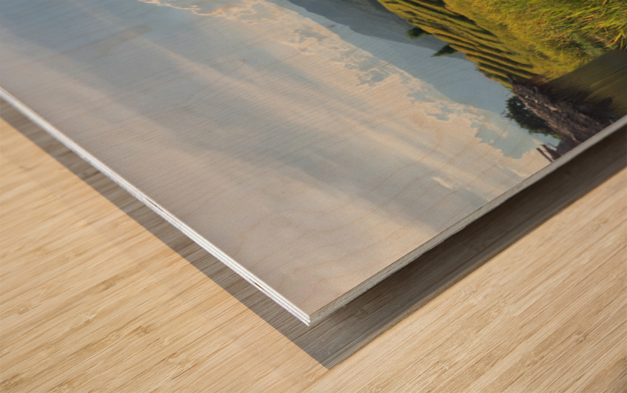 Beautiful Rice Field 2 Wood print