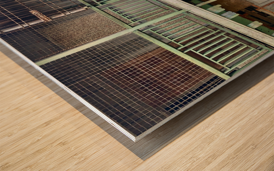 Dogs Looking Right Wood print