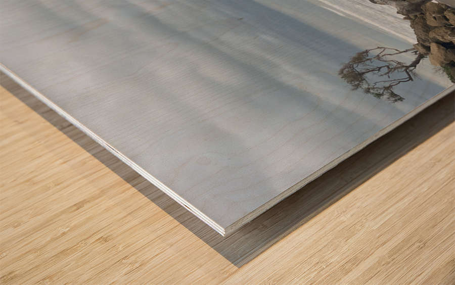 Dark Beach Wood print