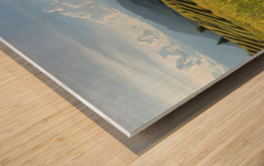 Beautiful Rice Field Wood print