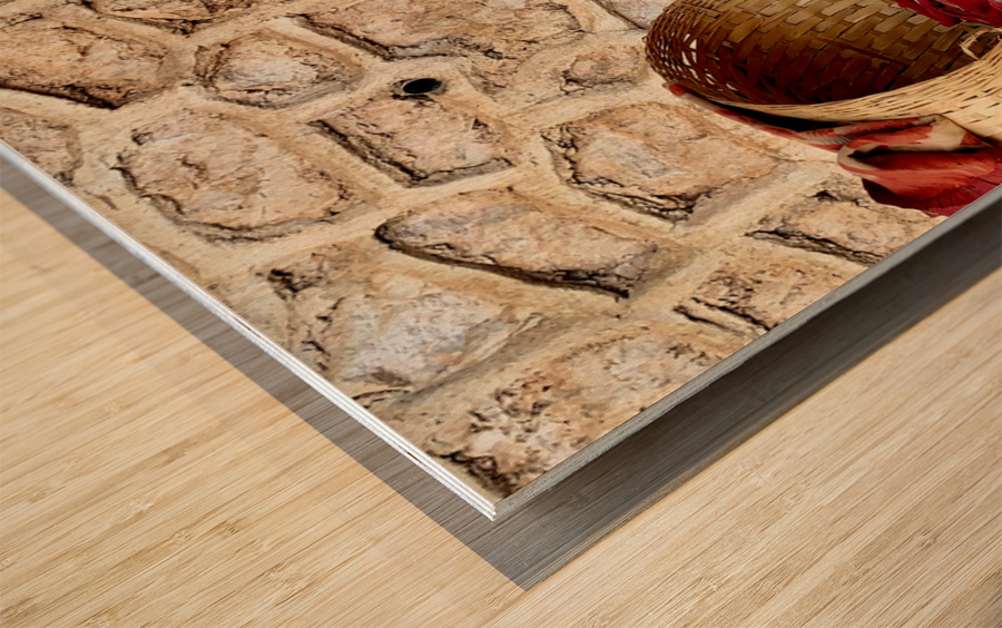 Dog Taking Over a Shop Wood print