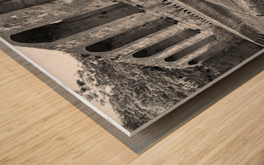 BW Safe in the Temple Wood print