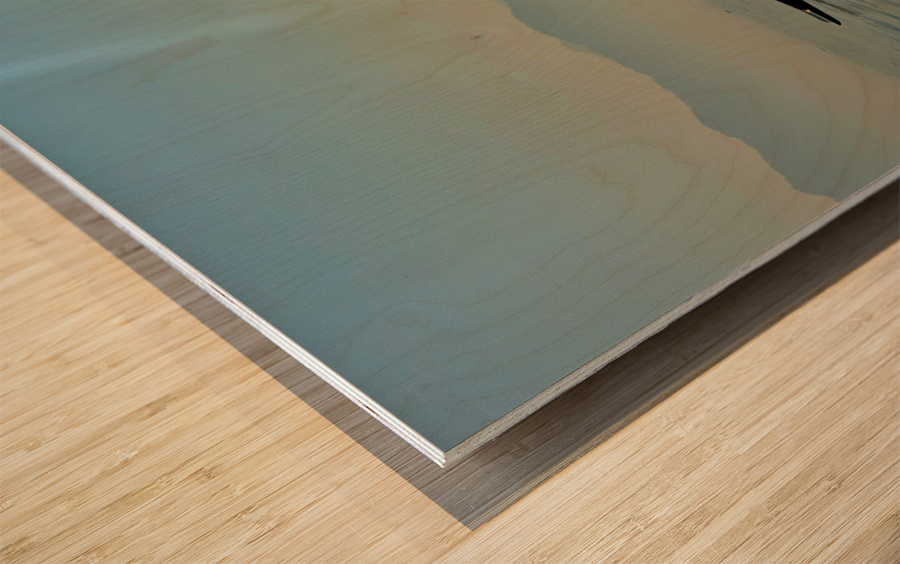 Inle Lake Fisherman 2 in Myanmar Wood print