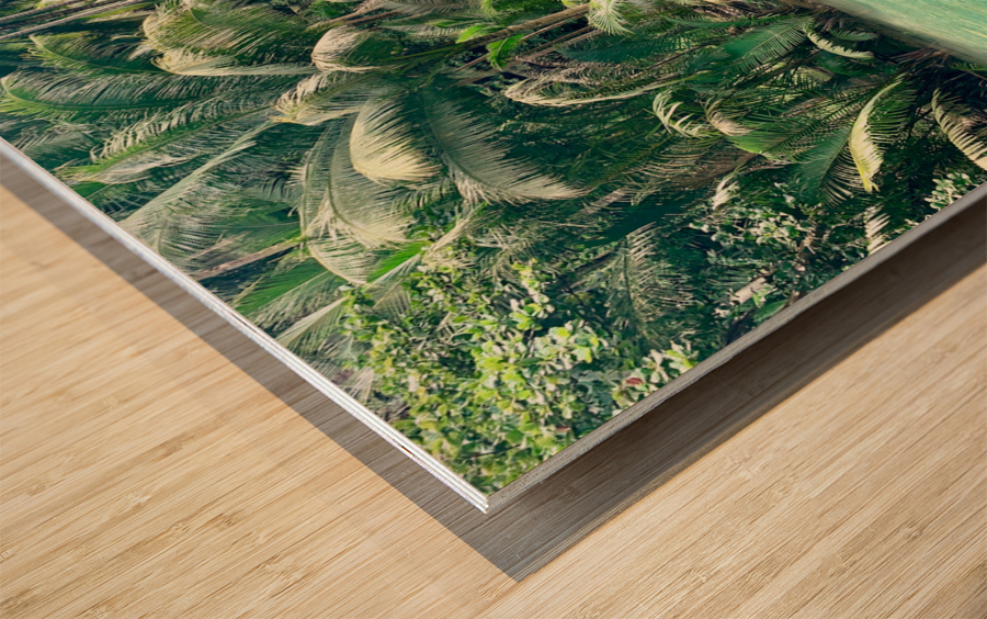 Jungle Green Wood print