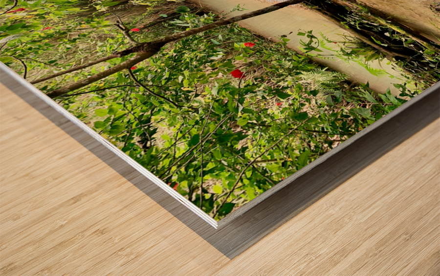 Kuang Si Waterfalls 4 Wood print