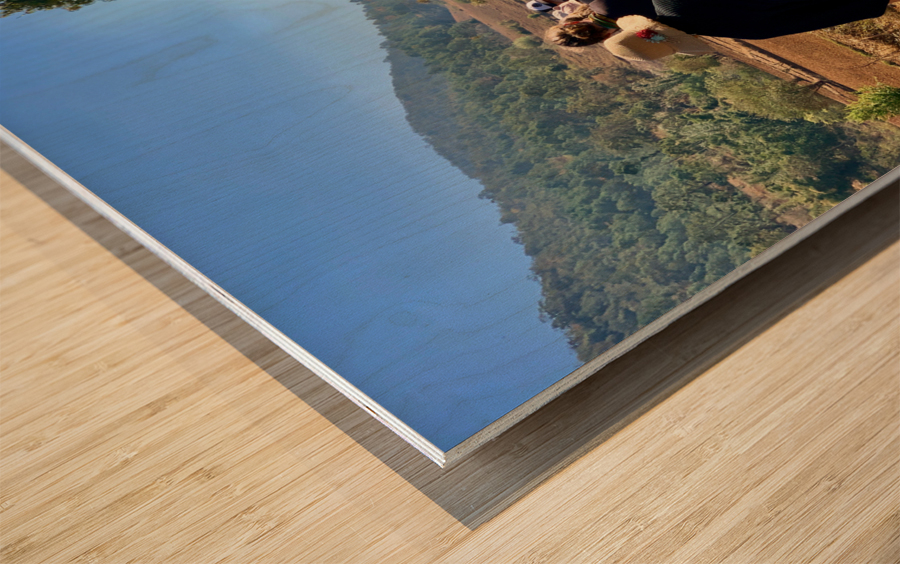 Follow the Path Wood print