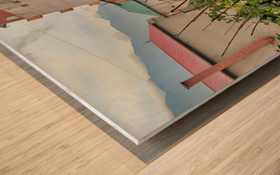 Homemade Fence Wood print