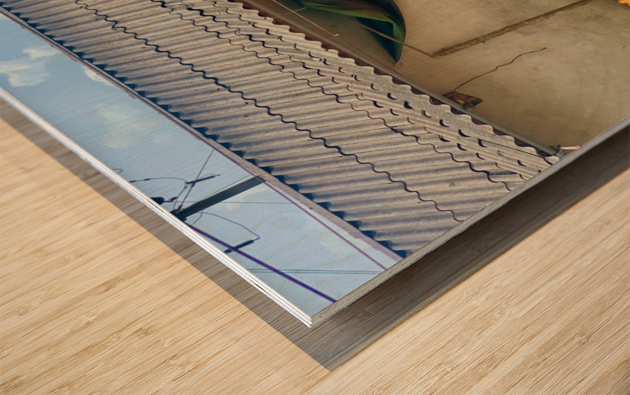 Dry Corn House Wood print