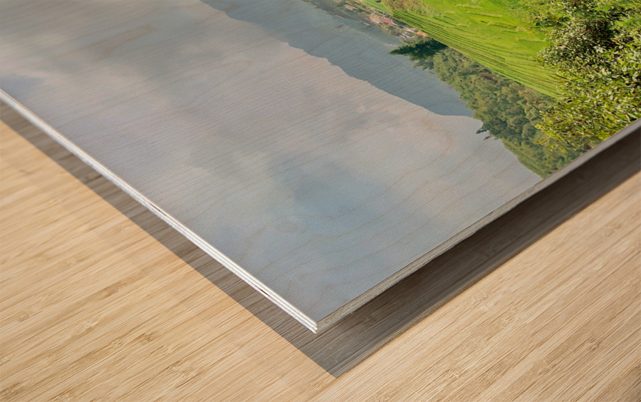 Looking Over the Rice Fields Wood print