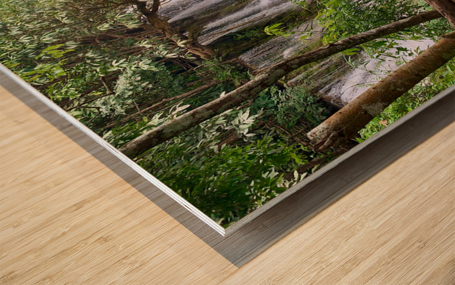 On Top of Kuang Si Waterfalls Wood print