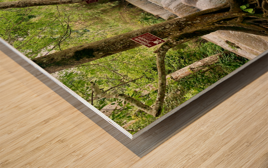 Kuang Si Waterfalls 6 Wood print