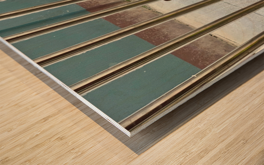 Sad Dog Behind Bars Wood print