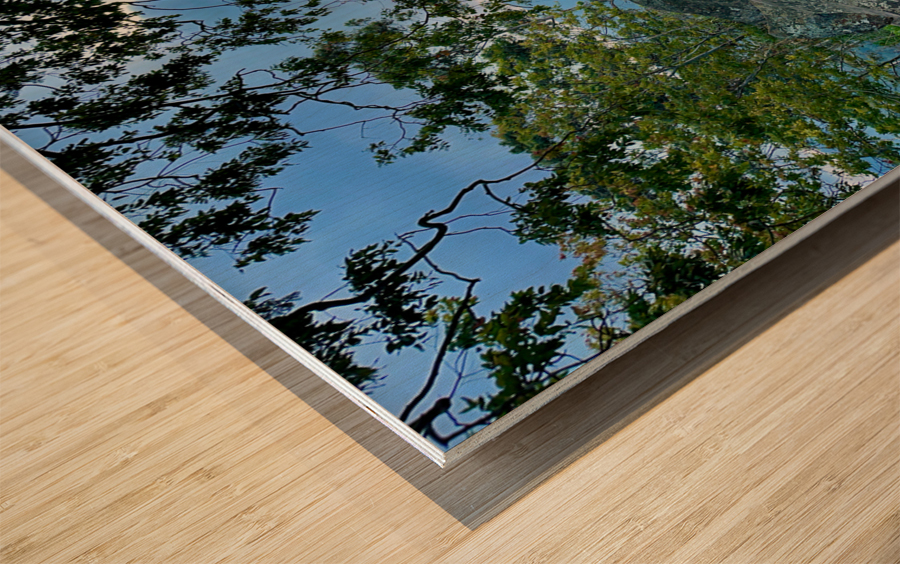 Mountain Path Wood print