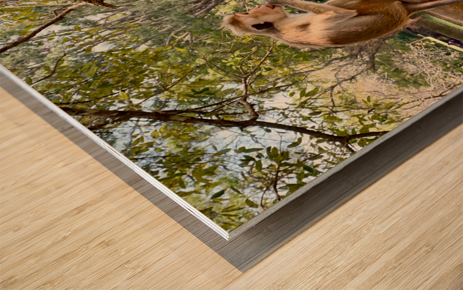 Monkey on a Branch Wood print