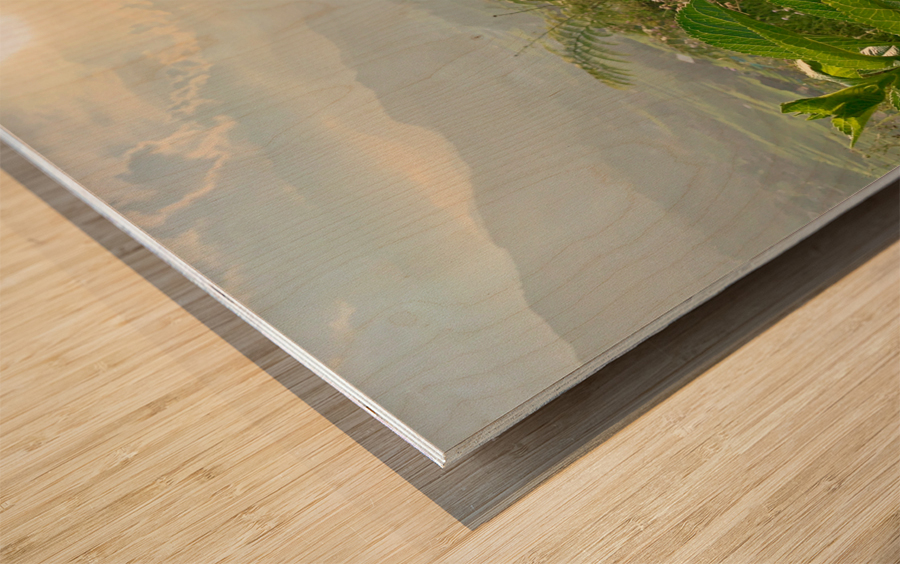 Purple Flowers for Sunset Wood print