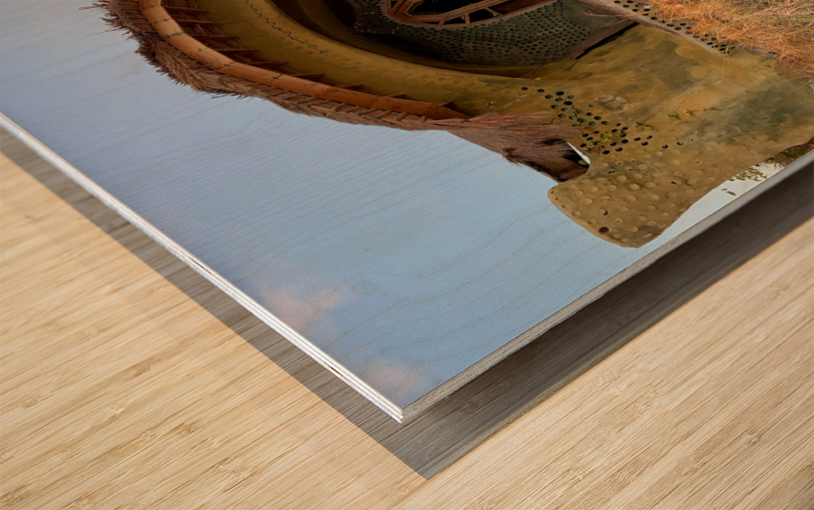 Special House on the Beach Wood print