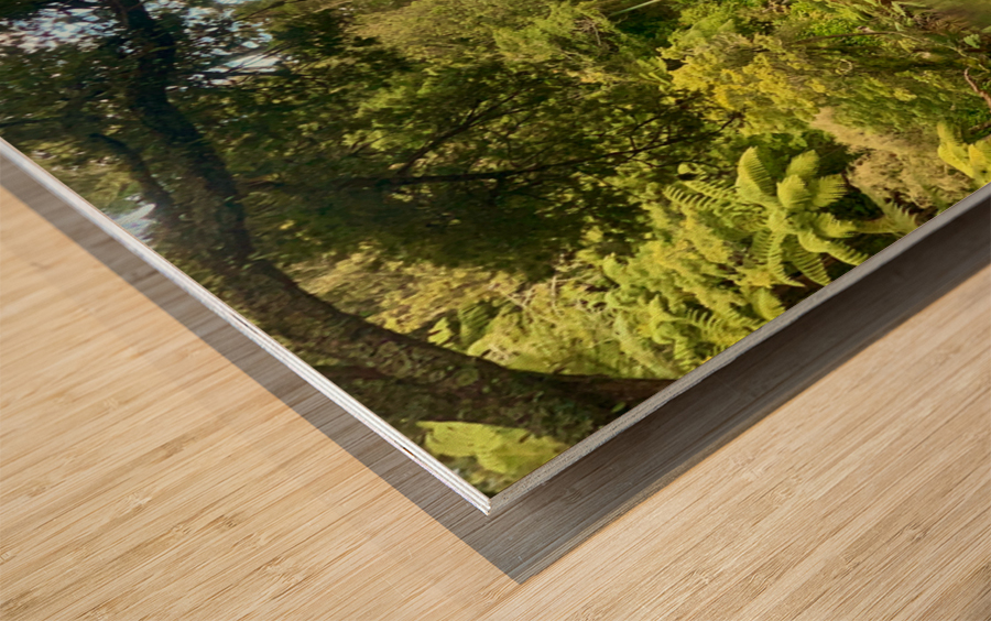 The Red Bridge Wood print