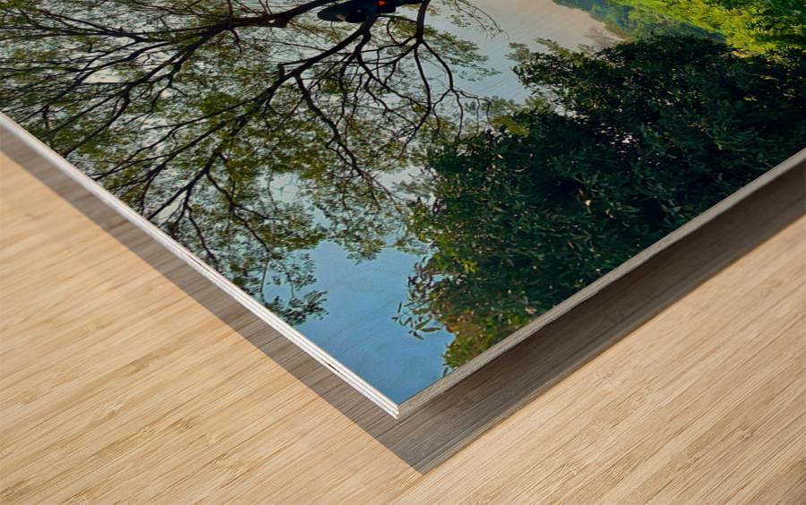 Stop This Train Wood print