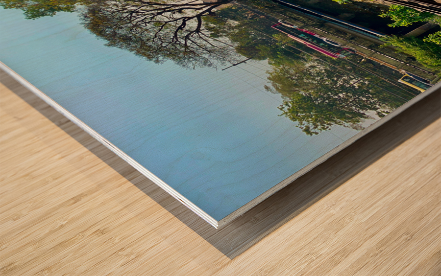 Train Bridge Wood print