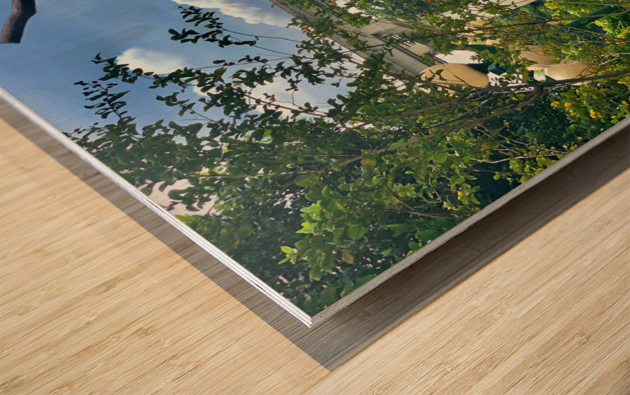 The Pink Train Wood print