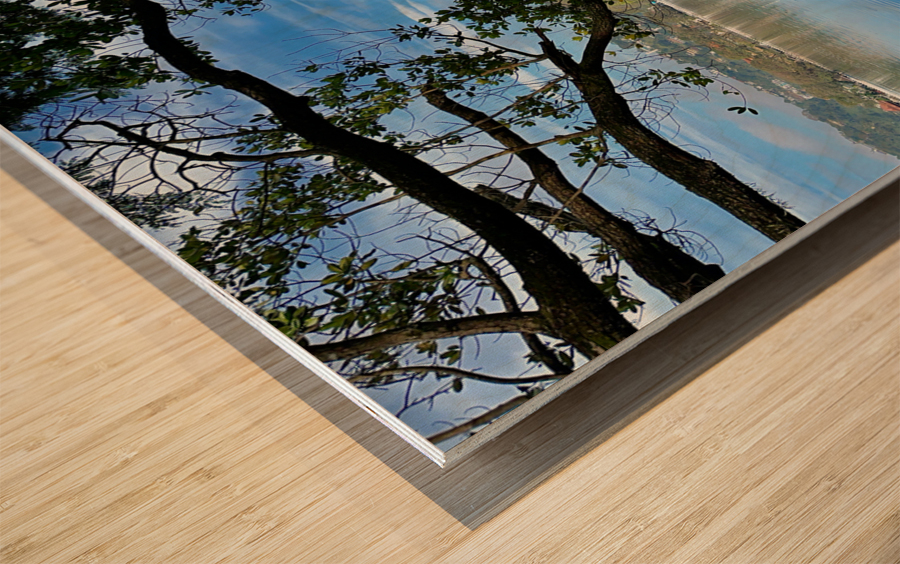 Ulupen Geya on Kandy Lake 1 Wood print