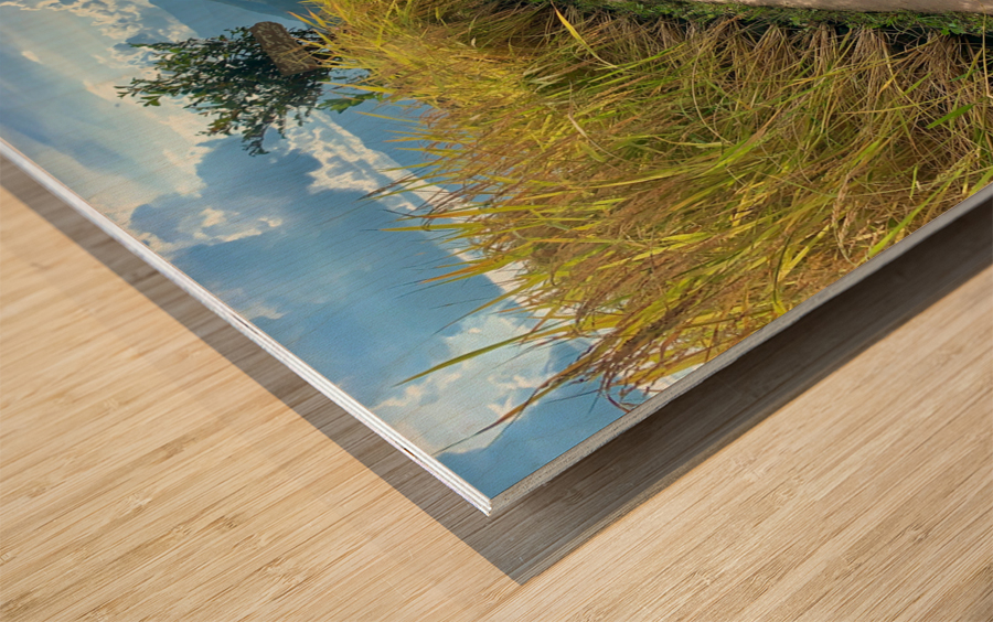 Vagabond Dog Impression sur bois