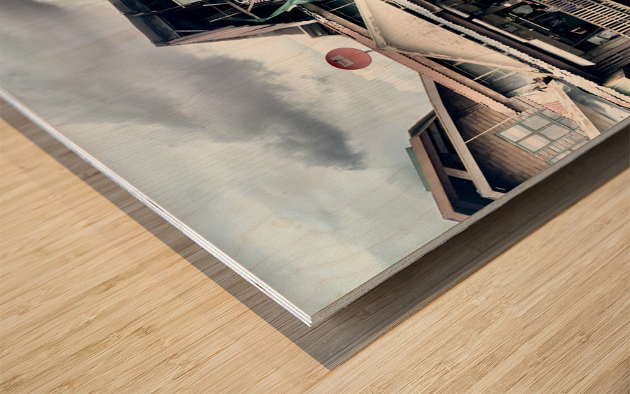 Balconies on the Water Wood print