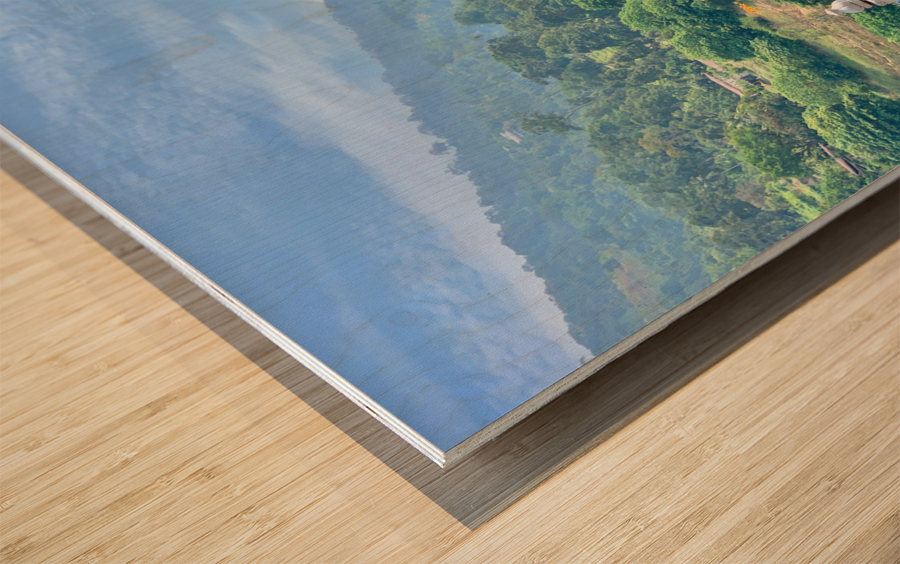 Beautiful Flowers on the Balcony with a View Wood print