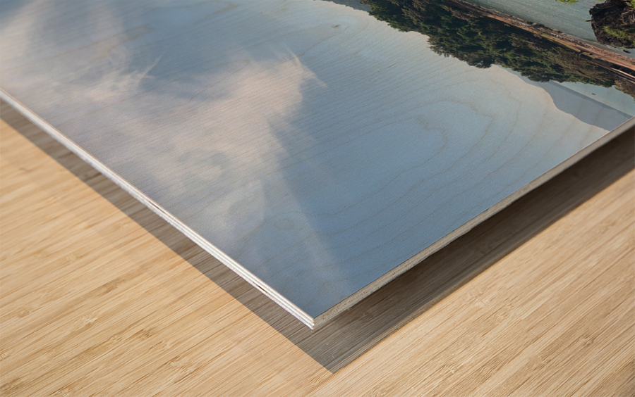 Beautiful View 2 Wood print