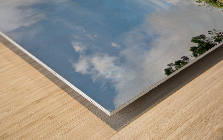 Mini Temple in the Sky Wood print