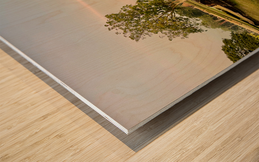 Temple by the Stream Wood print