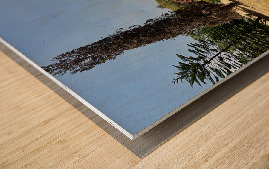 Mysore Town Hall Wood print