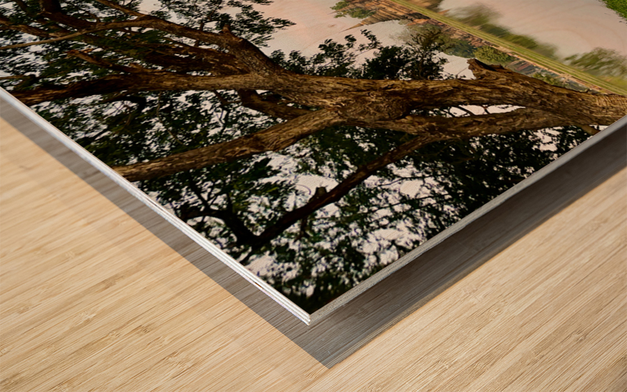 Temple Reflections Wood print