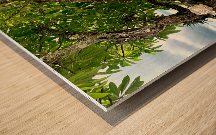 Heads Hanging Wood print