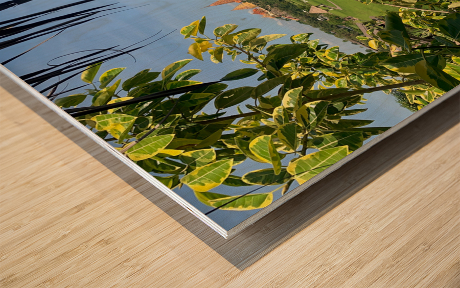 Wat Tham Suea 6 Wood print