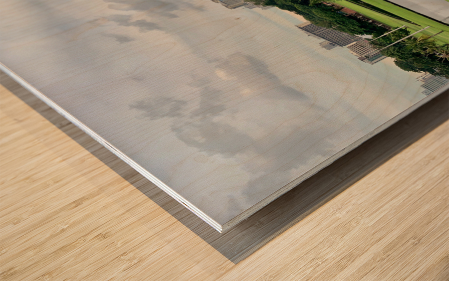 City Park  Lake Manila Wood print