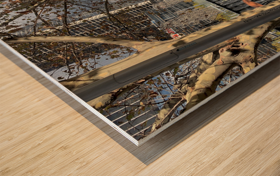 Yarra River in Melboune 3 Wood print